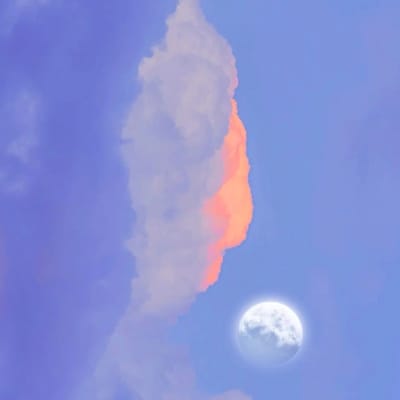 انضمام الحق avatar
